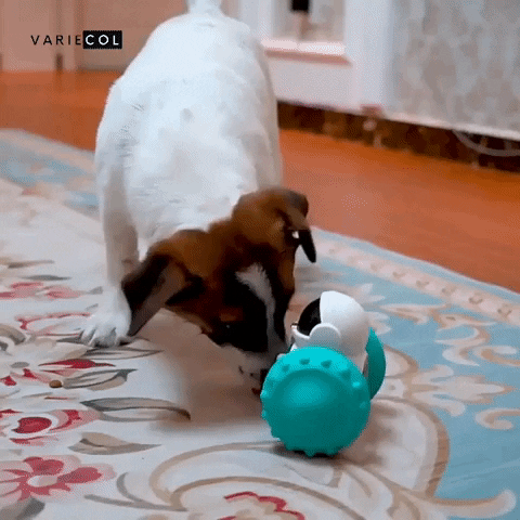 JUGUETE INTERACTIVO PARA MASCOTAS🐶🐱